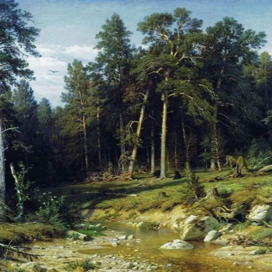Утро в сосновом лесу художника Ивана Шишкина
