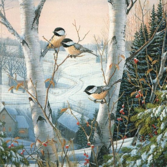Пейзажные птицы художника Тимма Сэма
